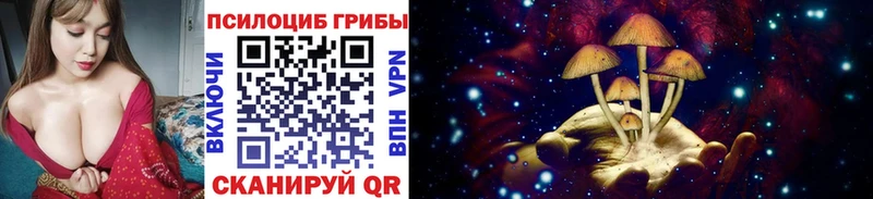 Галлюциногенные грибы Psilocybine cubensis площадка наркотические препараты Саянск